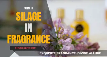 The Art of Silage: Fragrance Preservation