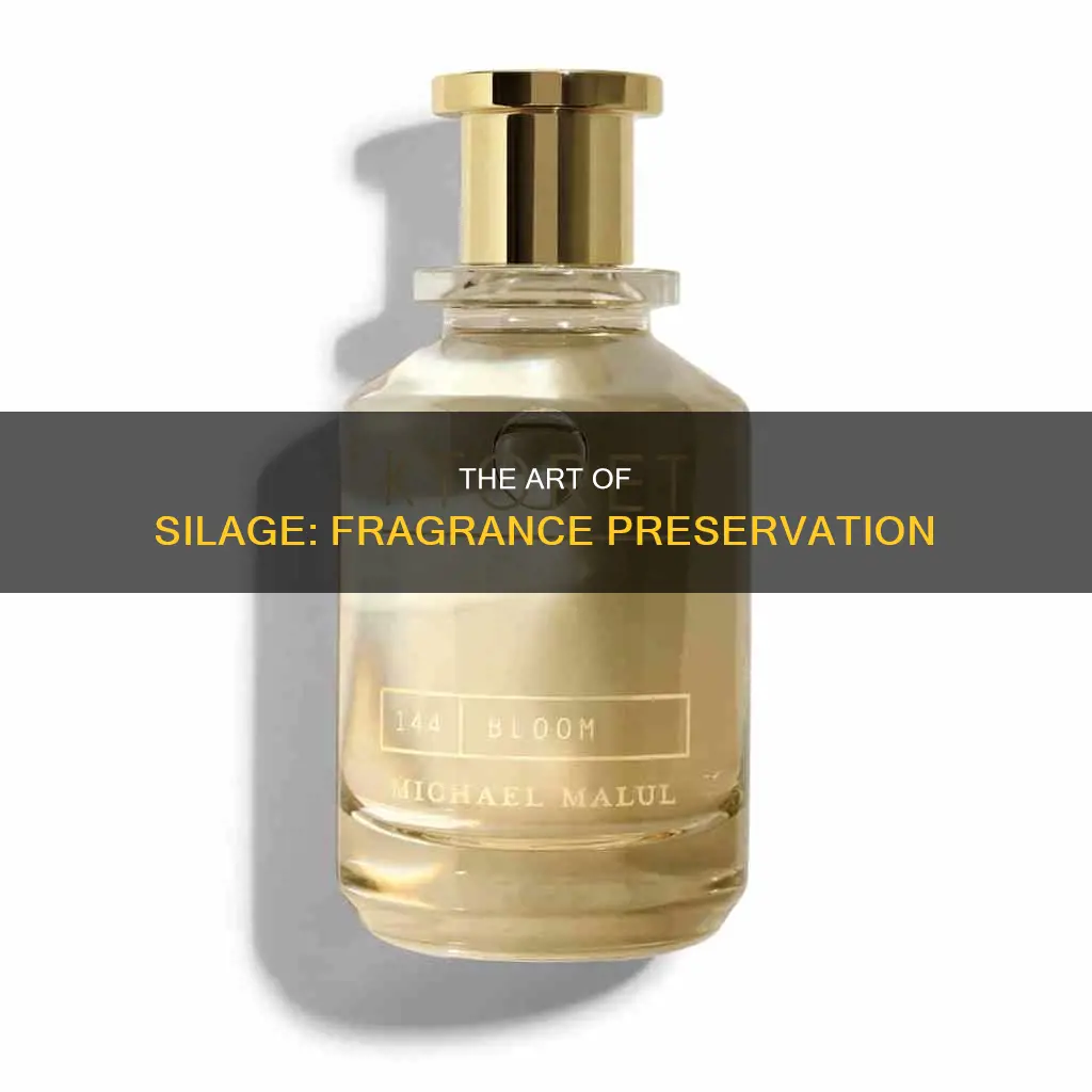 what is silage in fragrance