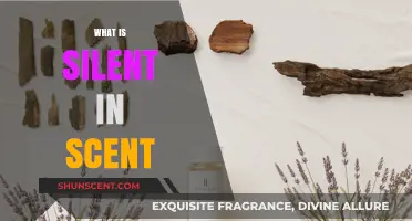 The Unspoken Language of Scents: Exploring the Silence in Fragrance