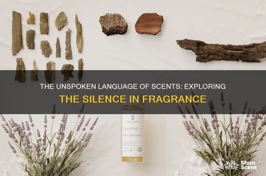 what is silent in scent