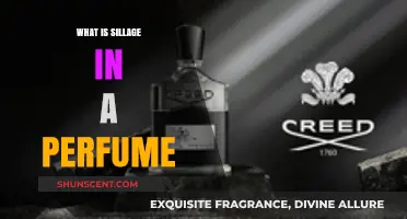 The Scent Trail: Understanding Perfume Sillage