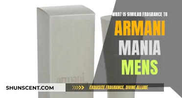 Armani Mania: Exploring Similar Scents for Men