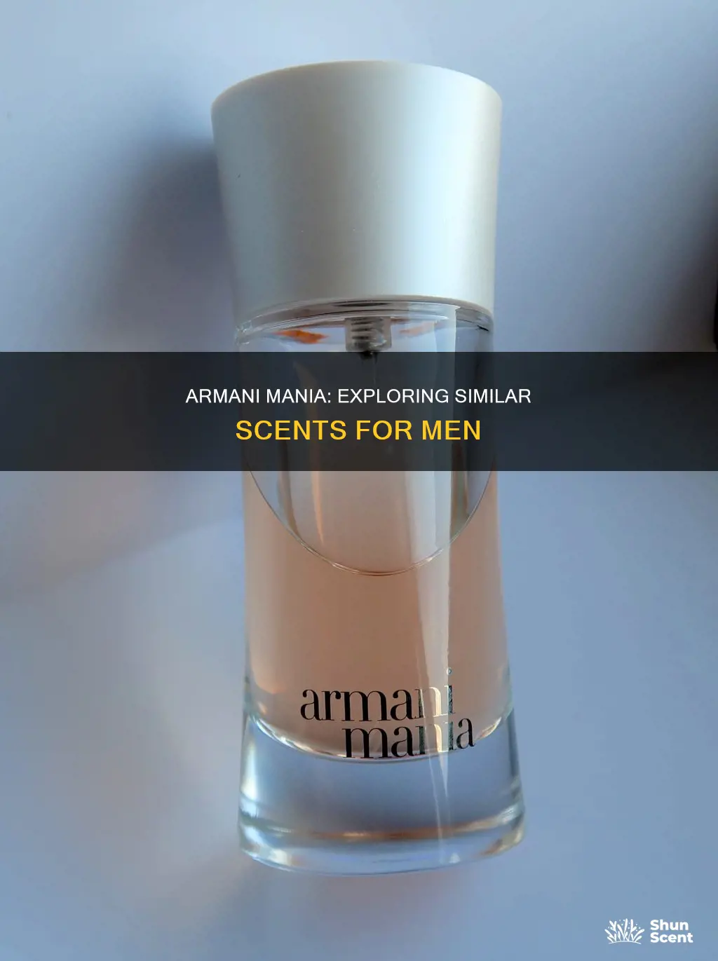 what is similar fragrance to armani mania mens