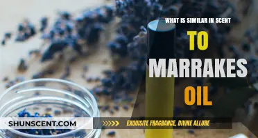 Discover Scents Similar to Marrakesh Oil: Exotic Aromas Explored