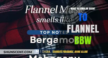 Discover Scents Similar to Flannel BBW: Cozy Alternatives to Try