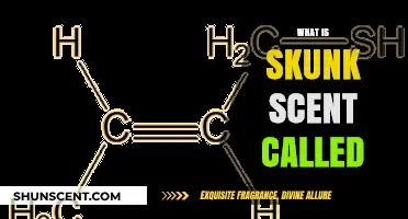 Unveiling the Mystery: What is Skunk Scent Called and Why?