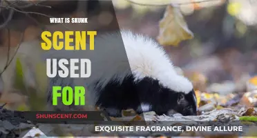 Unveiling the Surprising Uses of Skunk Scent in Nature and Beyond