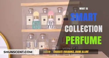 Smart Collection Perfumes: The Ultimate Scent Experience