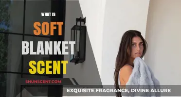 Unveiling the Cozy Mystery: What is Soft Blanket Scent?