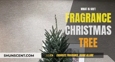Soft Fragrance Christmas Trees: A Holiday Delight