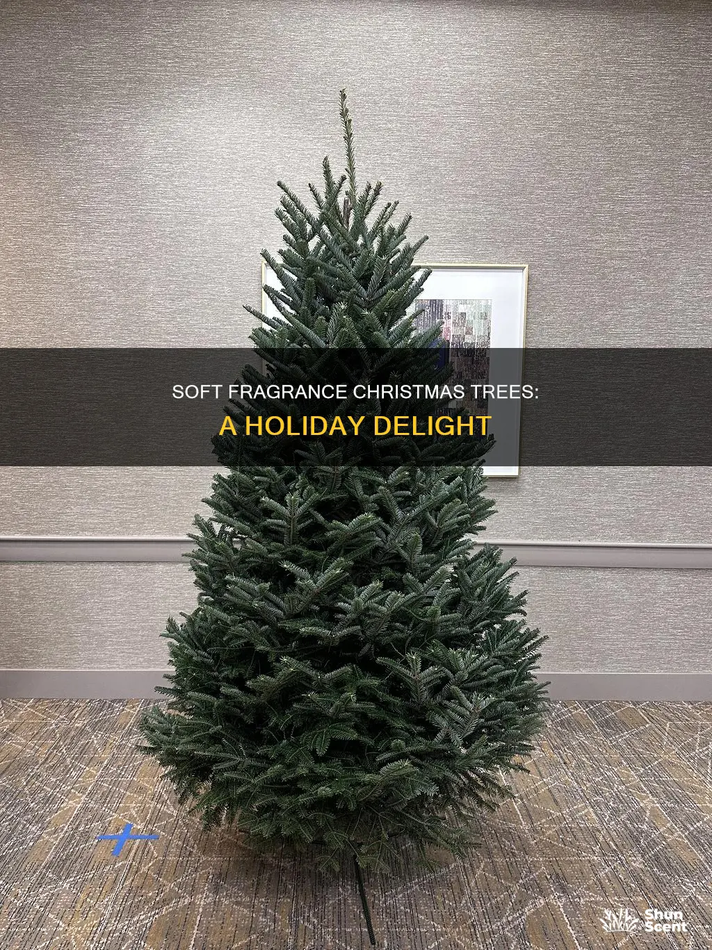 what is soft fragrance christmas tree