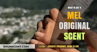 Discover Sol U Mel Original Scent: A Fresh, Clean Aroma Explained
