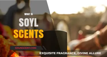 Discover the Magic of Soyl Scents: A Natural Aromatic Journey