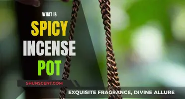 Spicy Incense Pot: Ancient Aromatic Secret