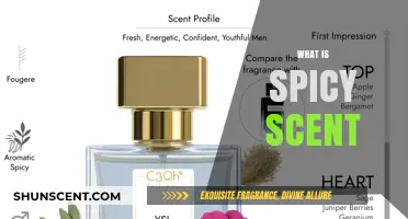 Exploring the Fiery Allure: What Makes a Scent Spicy?