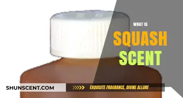 Unveiling the Unique Aroma: Understanding the Intriguing Scent of Squash
