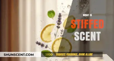 Understanding Stiffed Scent: Definition, Uses, and How It Works