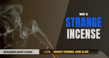 Incense with a Twist: Strange Scents