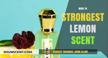 Discover the Most Potent Lemon Scent: A Citrusy Aromatic Journey