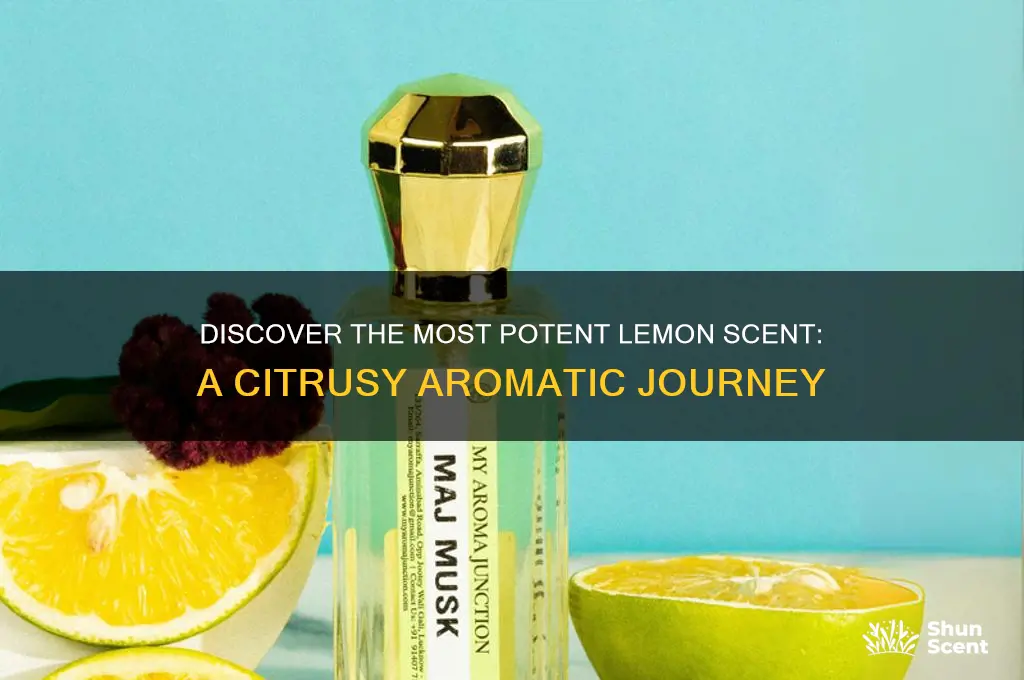 what is strongest lemon scent
