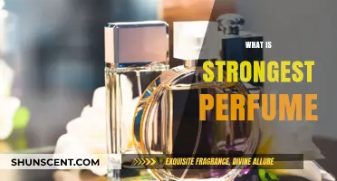 Strongest Perfumes: Long-Lasting Scents That Make a Statement