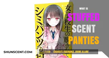 Exploring the Fetish: What Are Stuffed Scent Panties and Why?