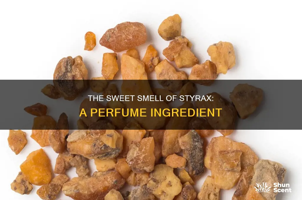 what is styrax in perfume