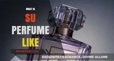 Your Scent, Your Style: What Does Your Perfume Say?