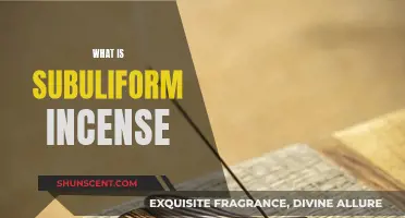 The Ancient Art of Subuliform Incense: A Guide