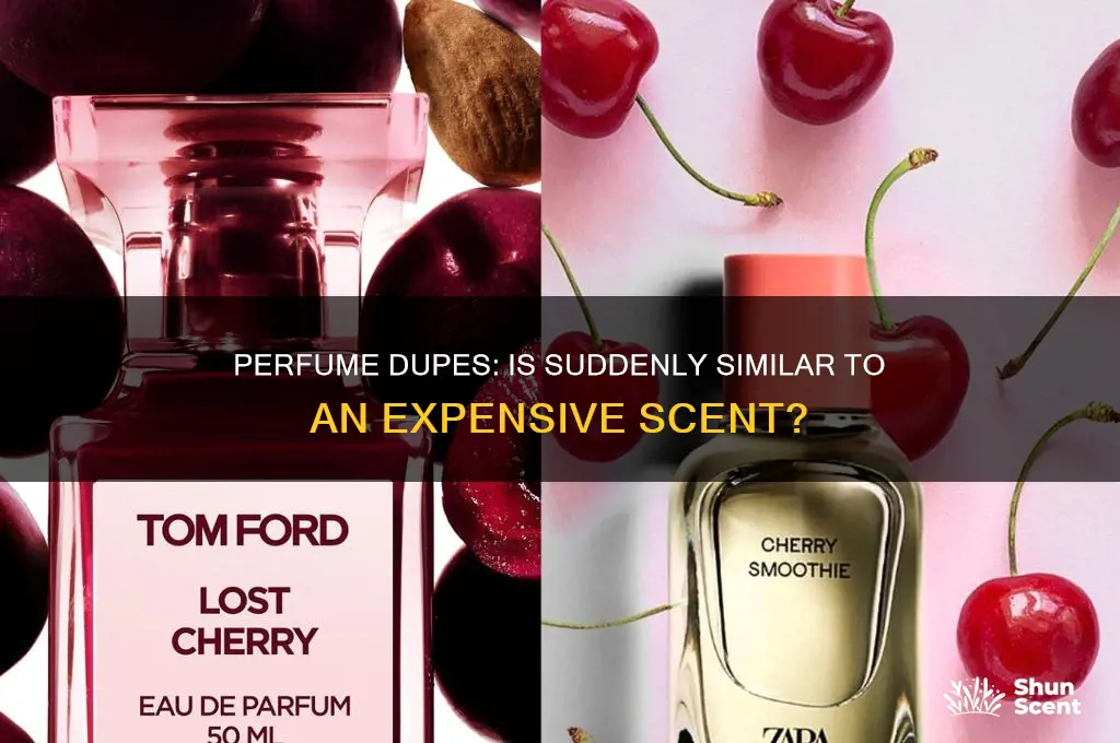 what is suddenly perfume a copy of