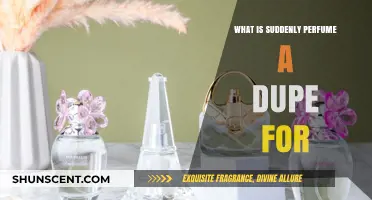 Finding Affordable Dupes for Your Favorite Perfumes
