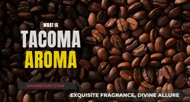 The Tacoma Aroma Mystery: What's That Smell?