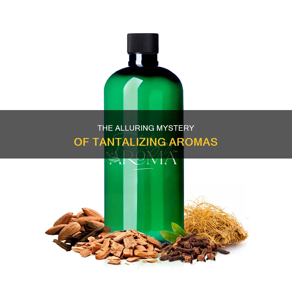 what is tantalizing aroma