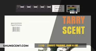 Understanding Tarry Scent: Origins, Characteristics, and Common Uses Explained