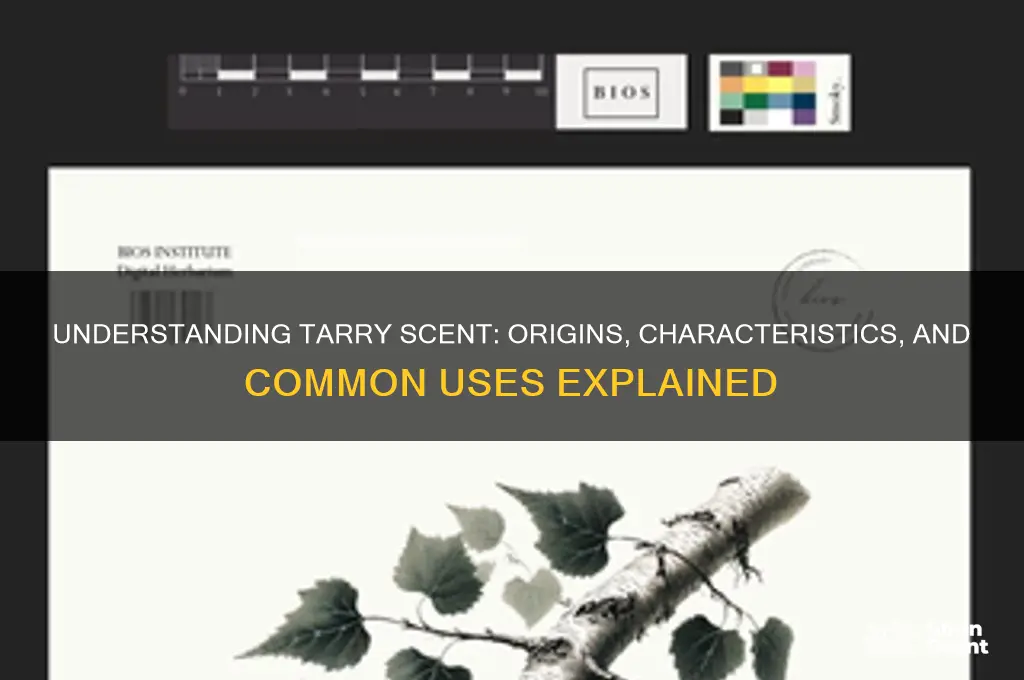 what is tarry scent