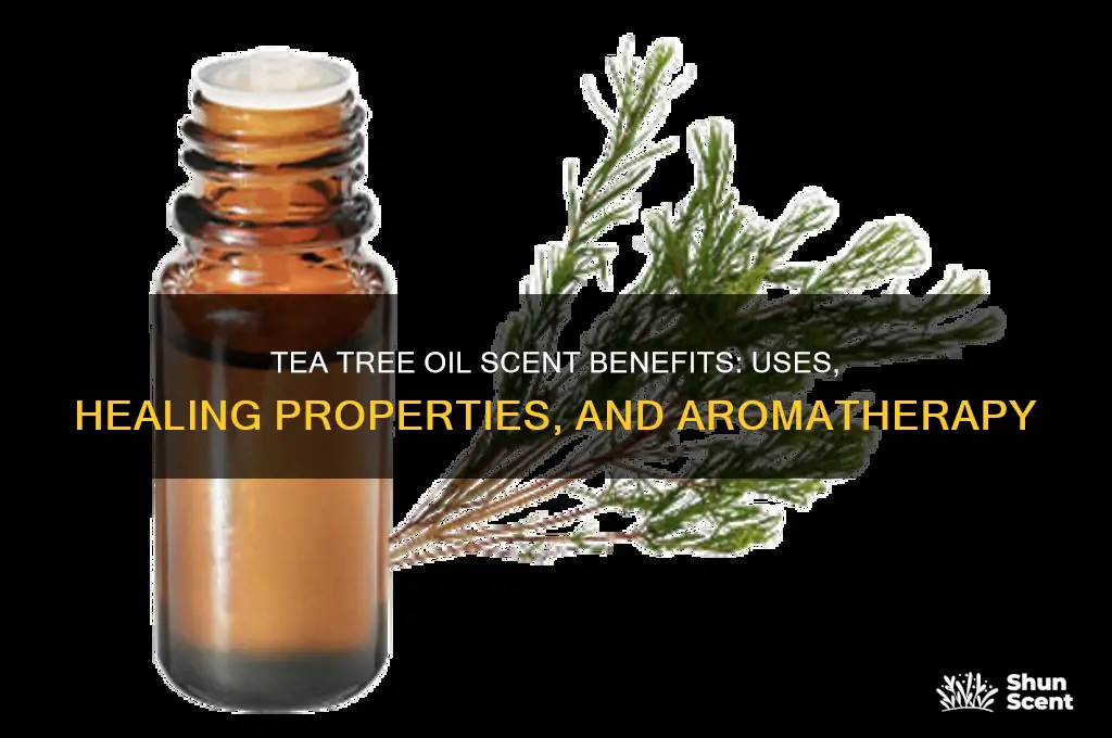 what is tea tree oil scent good for