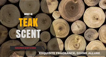 Exploring the Rich, Earthy Aroma of Teak Wood Scent