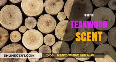 Exploring the Rich, Earthy, and Warm Aroma of Teakwood Scent