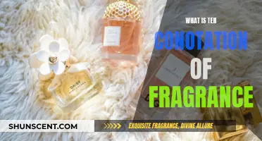 The Intriguing Language of Fragrances and Their Connotations