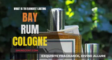 Best Long-Lasting Bay Rum Colognes for Men