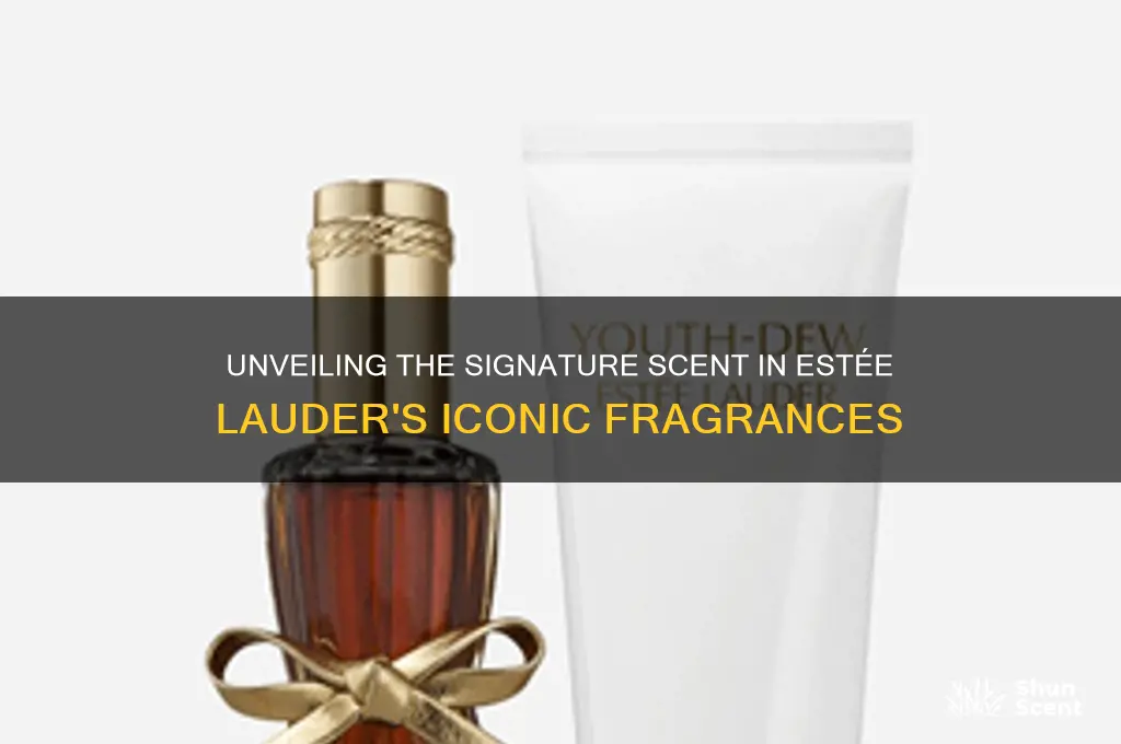 what is th scent in estee lauder