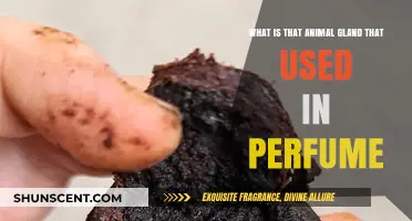 The Secret of Perfume: Animal Glands