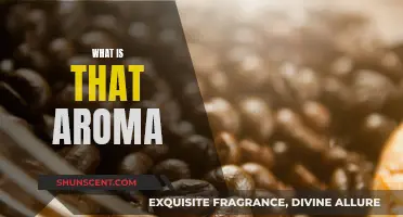 The Aroma Experience: What's That Smell?