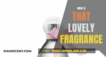 The Sweet Smell of Success: Fragrance Secrets