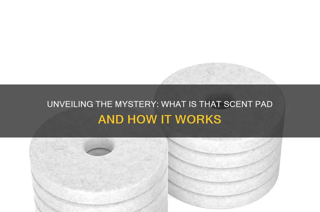 what is that scent pad