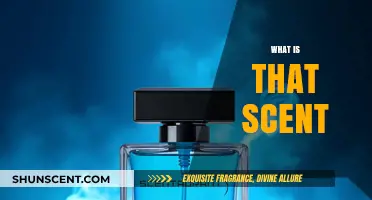 Unveiling the Mystery: What is That Intriguing Scent?