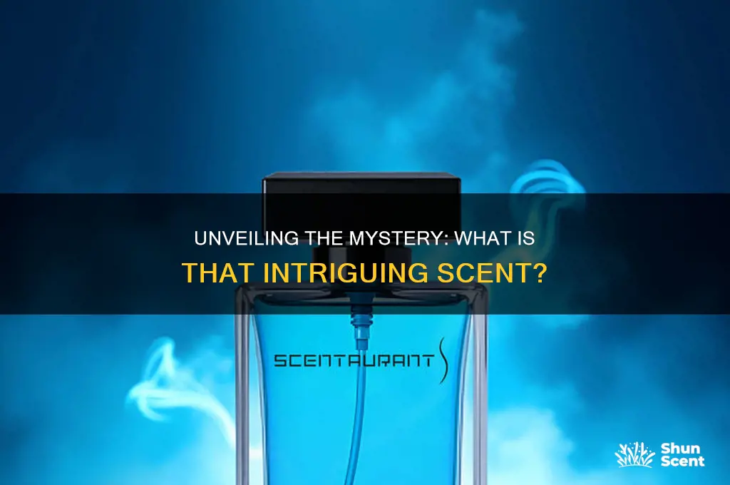 what is that scent