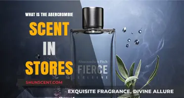 Unveiling the Iconic Abercrombie Store Scent: A Sensory Experience Explained