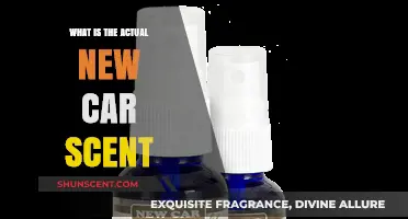 Unveiling the Mystery: The Surprising Truth Behind New Car Scent