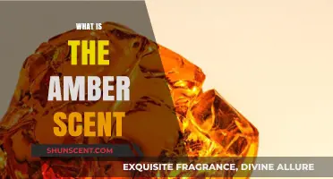 Exploring the Warm, Earthy Allure of the Amber Scent